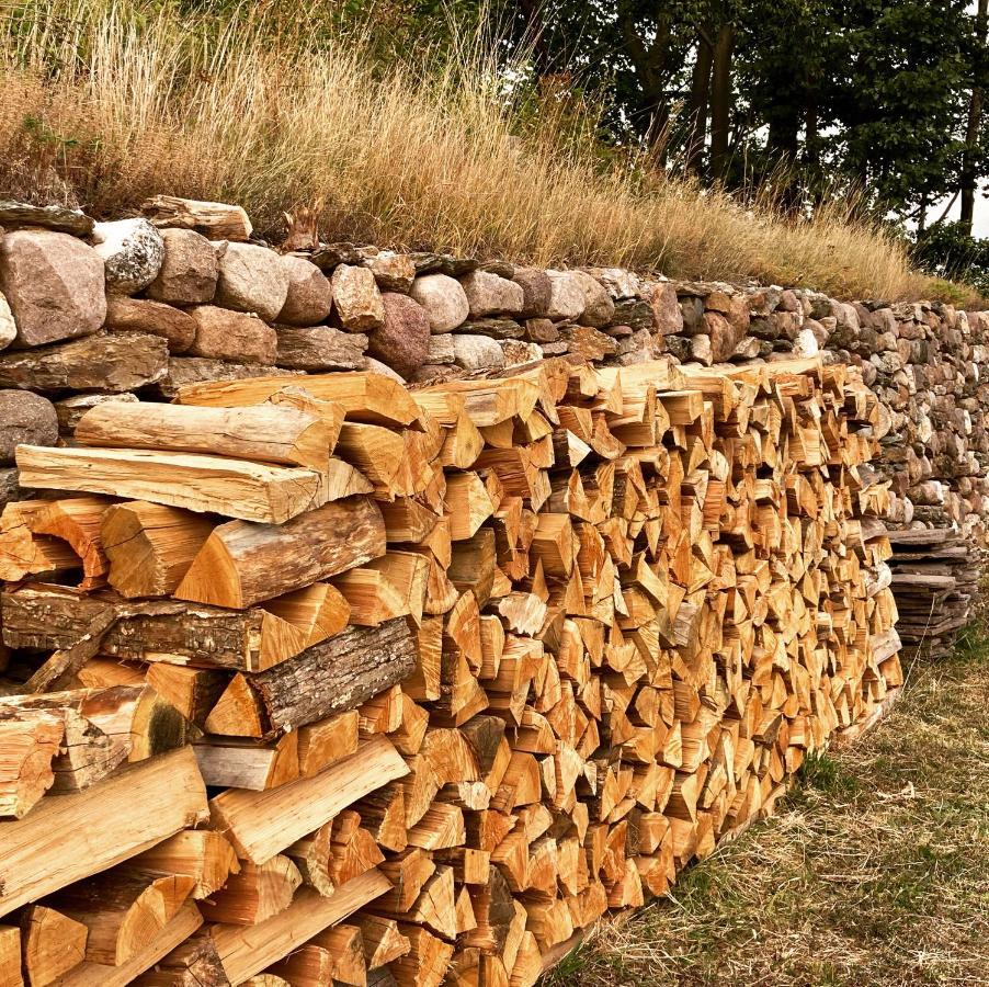 Camera De Le Rondole, Maso Postel - 500 Mt Strada Sterrata بيرجيني فالسويانا المظهر الخارجي الصورة